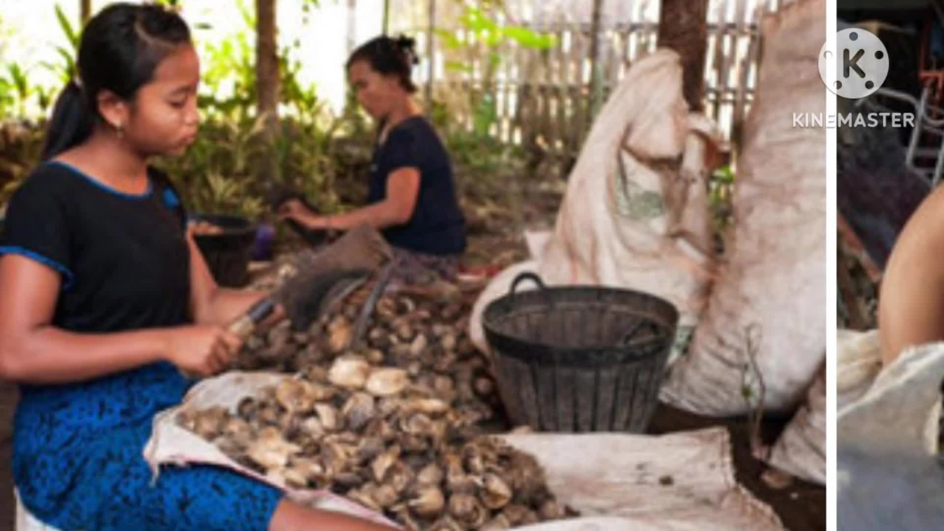 ကလေးအလုပ်သမားပပျောက်ရေးဆိုင်ရာအသိပညာပေး Talk Show