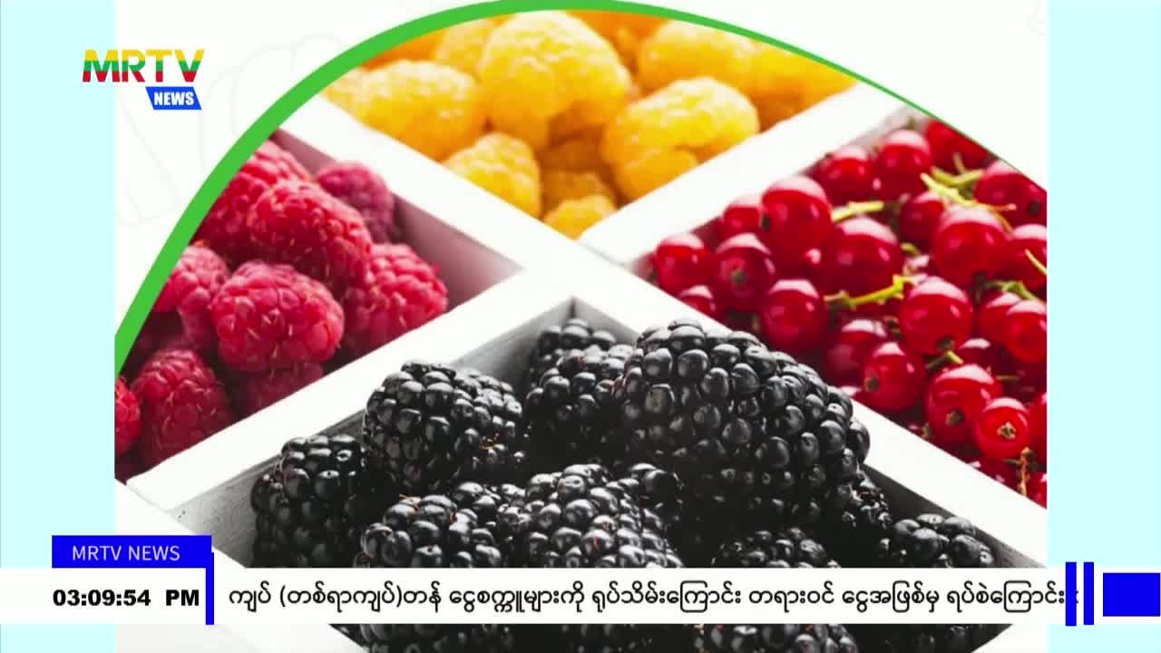 video_231001154115_vd24a