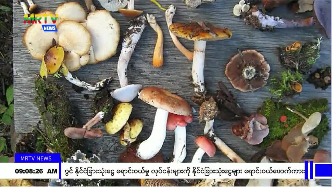 video_230822095949_v57e3